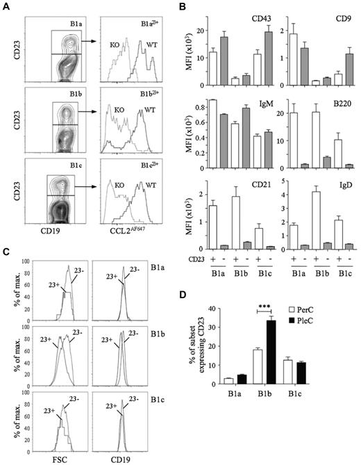 Figure 3. Characterization of D6active body cavity CD23+ B1 cells. (A) Left panels: Subfractionation of WT peritoneal cavity B1a (CD19+CD11b+CD5+), B1b (CD19+CD11b+CD5−) and B1c (CD19+CD11b−CD5+) cells by anti-CD23. Right panels: Overlaid CCL2AF647 uptake profiles of WT (black) and D6-deficient (KO, gray) peritoneal cavity CD23+ B1-cell subsets. (B) Surface immunophenotype of WT peritoneal cavity CD23+ (light gray) and CD23− (dark gray) B1-cell subsets. Data are shown as the average MFI for each marker ± SEM. (C) Forward scatter (FSC) and surface CD19 of WT peritoneal cavity CD23+ (23+) and CD23− (23−) B1 cell subsets. (D) Mean percentage ± SEM of each B1-cell subset expressing surface CD23 in WT peritoneal cavity and pleural cavity lavages (n = 5). ***P < .001. Flow cytometric profiles are representative of data from > 3 mice per genotype per experiment, with experiments repeated at least 3 times.