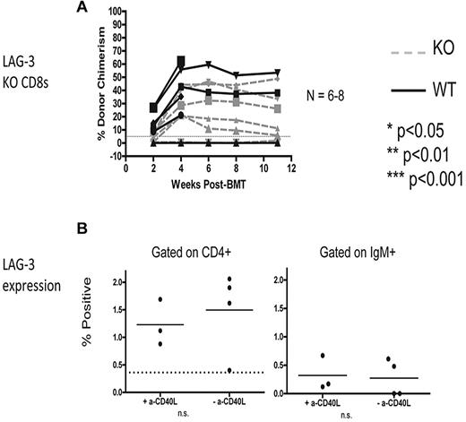Figure 3. LAG-3 is required CD8 T-cell extrinsically for achievement of peripheral T-cell tolerance and is expressed at low levels on recipient CD4 T cells and B cells. (A) KbDb MHC class I–deficient animals were used as recipients of 3 Gy TBI/anti-CD40L/allo-BMT with B10.A BMCs. Adoptive transfer of 6-9 × 106 purified recipient-type CD8 T cells was performed by intravenous injection at the time of allo-BMT. Dashed gray lines represent LAG-3 KO CD8 T cells, while solid black lines represent WT CD8 T cells. The percentage of donor chimerism in the B-cell lineage of the peripheral blood is shown. The dotted line at 5% donor chimerism represents our cutoff for calling an animal a chimera. N = 6-8 mice per group. (B) Expression of surface LAG-3 was detected using flow cytometry to examine gated populations of CD4+ T cells (left) and IgM+ B cells (right). N = 3-4 mice per group.
