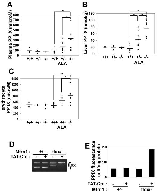 Figure 5. Deletion of Mfrn1 in hepatocytes leads to increased protoporphyrin IX in mice fed ALA. ALA was added to the drinking water of mice of the noted genotypes. Four weeks later, the ALA-fed mice and control mice were killed and the level of protoporphyrin IX (PPIX) measured in plasma (A), liver (B), and erythrocytes (C). (D) PCR analysis of Mfrn1 deletion in fibroblasts incubated with Tat-Cre. (E) Levels of PPIX in wild-type and Mfrn1-deleted fibroblasts. *P < .05.