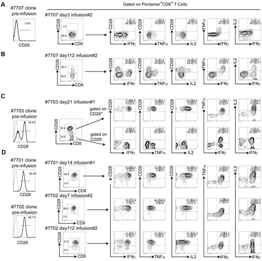 Figure 4. CD28 expression by adoptively transferred HIV-specific CD8+ T-cell clones is associated with IL-2 secretion after stimulation by specific Ag. (A) Expression of CD28 on the HIV-specific CD8+ T-cell clone before infusion (left histogram) for patient 7707 (A*0301/QVPLRPMTYK-HIV-NEF). Whole PBMCs were obtained at day 3 after the 2nd infusion and stained with specific pentamer (A*0301/QVPLRPMTYK-HIV-NEF). The expression of CD28 ex vivo on pentamer+ T cells is shown (plot to the right of the histogram). Cells were stimulated with specific peptide (QVPLRPMTYK) and pentamer+CD8+ T cells analyzed for the surface expression of CD28 and intracellular production of IFNγ, TNFα, and IL-2 (rightmost plots). (B) The same analysis was performed on whole PBMCs obtained at day 112 after transfer of the HIV-specific clone into patient 7707. (C) Data on PBMCs that were obtained on day 21 after the first infusion from patient 7703 (B*0801/GEIYKRWII-HIV-GAG) are shown. Analysis for pentamer+CD28+ and CD28− subpopulations are shown individually. (D) Data for patients 7701 and 7702 (B*0801/GEIYKRWII-HIV-GAG) are shown on PBMC that were obtained 14 days after the first infusion (7701), 7 and 112 days after the second infusion (7702), after stimulation with the cognate peptide (GEIYKRWII). Pentamer−CD8+ T cells in the same assays did not produce IFNγ, TNFα, or IL-2 (not shown).