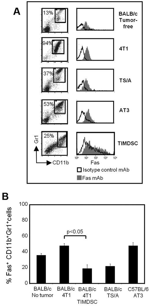 Figure 2. MDSCs express the death receptor Fas. Leukocytes from the blood of tumor-free BALB/c mice, BALB/c mice with 4T1 or TS/A mammary tumors, C57BL/6 mice with AT3 mammary tumors, and TIMDSCs from BALB/c mice with 4T1 tumors were labeled for Gr1, CD11b, and Fas, and the Gr1+CD11b+ cells were gated and analyzed by flow cytometry for expression of Fas. (A) Flow cytometry of cells from individual mice showing Fas expression on the gated CD11b+Gr1+ cells. (B) Percentage +SD of Fas+CD11b+Gr1+ cells from 2 experiments (n = 6 mice/group).