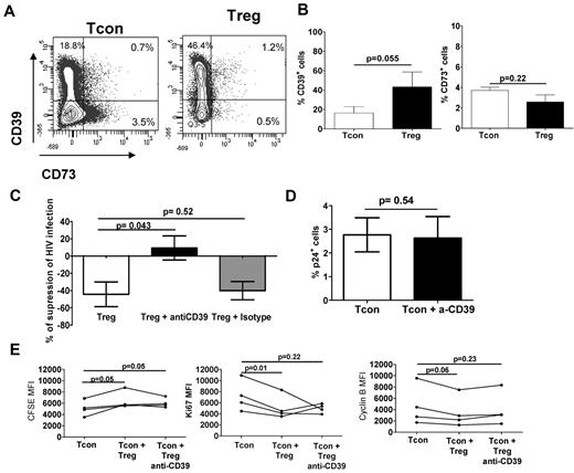 Figure 7. CD39 activity plays a role in the Treg-suppressive activity of HIV infection. Tregs and Tcons were stained with anti–CD39PE-Cy7 and anti–CD73-APC after 3 days of coculture and analyzed by flow cytometry. (A) CD39 and CD73 expression of 1 representative individual. (B) Graph showing the mean (± SEM) percentage of CD39+ (left) and CD73+ (right) cells (n = 4). (C) Infected Tcons cultured alone or with Tregs in presence or absence of either an anti-CD39 blocking antibody or a matched isotype control. Tregs were loaded with calcein AM before culture. Graph shows the mean (± SEM) percentage of suppression of HIV infection after the addition of the anti-CD39 blocking antibody or the matched isotype control (n = 3). (D) Infected Tcons cultured in the presence or absence of anti-CD39 blocking antibody (10 μg/mL). Graph shows the mean (± SEM) percentage of HIV-p24Gag+ Tcons (n = 3). (E) Graph showing the MFI of CFSE, Ki67, and cyclin B staining in gated Tcons after their culture with Tregs treated or not with anti-CD39 (n = 4).