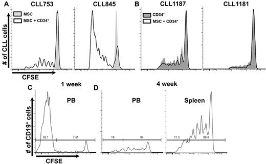 Figure 1. CLL proliferation in NSG mice. (A) Retro-orbital sinus bleeding was done at 2-week intervals. CLL cells only proliferate in presence of human hematopoietic elements. Representative example of 9 CLL samples, with a minimum of 29 mice per group (supplemental Table 2). Histograms only show CFSE+ cells. (B) hMSCs are not necessary for CLL proliferation because virtually identical CFSE dilution patterns are seen in the presence or absence of transferred hMSCs. Representative example of 4 CLL samples with a minimum of 10 mice per group (supplemental Table 2) is shown. (C) Early after CLL transfer, most B cells in PB are CFSE−, deriving from transplanted hCD34+ cells (supplemental Figure 2). (D) Late after CLL transfer, a relatively selective loss of CFSE− B cells occurs; remaining B cells are mostly CFSE+ and of leukemic origin (supplemental Figure 2).