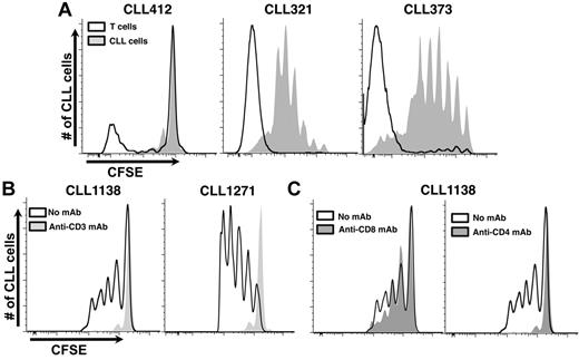 Figure 3. Growth of CLL cells in NSG mice is T-cell dependent. (A) Simultaneous analysis of autologous T-cell and CLL-cell proliferation in vivo. Because PBMCs containing both T and B cells were labeled before transfer, the dilution of CFSE fluorescence, as an indicator of cell division, could be measured at the same time. Three representative examples are provided: CLL412 at 2 weeks after transfer and CLL321 and 373 at 4 weeks after transfer. (B) Eliminating T cells with an anti–human CD3 mAb inhibits CLL cell growth (2 representative examples from 15 CLL samples with 118 mice, minimum 55 per group). Negligible numbers of T cells were detected in the blood by immunofluorescence at the time of cell transfer/mAb treatment. (C) Eliminating CD4+ T cells aborts CLL proliferation and impairs CD8+ cell growth; eliminating CD8+ T cells does not impair CLL cell proliferation (representative example from 6 CLL samples, 60 mice, minimum 10 per group).