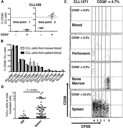 Figure 5. Expression of CD38. (A) The number of CD38+ cells in murine blood relates to CLL cell proliferation. At the first time point, CLL cells do not divide and the number of CD38+ leukemic cells is low. CD38-expressing CLL cells reach maximal levels at the second time point when CLL cells have divided, approximating that in donor patient's blood (solid line). (B) The percent of CD38-expressing cells in mouse blood correlates closely with that in patient's blood (10 CLL samples, 42 mice). Asterisks indicate experiments in which hCD34+ cells were administered. Note that the levels of CD38-expressing cells are similar between murine and human blood regardless of the system (hCD34+ cells or mature alloAPCs) used to permit CLL cell expansion in vivo. (C) Note that the activation states of CLL cells differ on the basis of anatomic location. Although there is considerable leukemic cell proliferation occurring in the spleen and 24.2% cells express CD38, there is negligible division occurring in PB, peritoneum, and BM. Data collected at death or time of sacrifice. (D) CLL (CD19+CD5+CFSE+) cells in the spleen far outnumber those in BM.