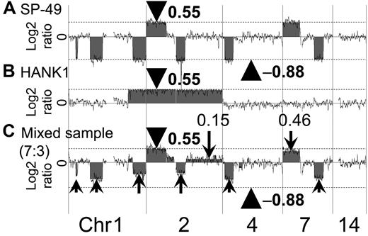 Figure 3. Confirmation of log2 ratio imbalance among chromosomes. The manner in which the log2 ratio imbalance occurred was confirmed. (A) SP-49 showed no imbalance. Log2 ratios of gain regions were 0.55 (arrowhead and dotted line). Log2 ratios of loss regions were −0.88 (arrowhead and dotted line). (B) HANK1 showed no imbalance. Log2 ratios of gain regions were 0.55 (arrowhead and dotted line). (C) Mixed-genomic DNA at a ratio of 7:3 reproduced the log2 ratio imbalance. The log2 ratio of chromosome 2p14-pter of the mixed DNA sample was 0.55 (arrowhead). Chromosome 2p had a copy region identical to both SP-49 and HANK1. Arrows indicate the log2 ratio imbalance.