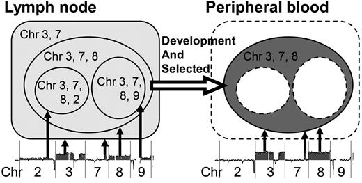 Figure 7. Selected subclone from the LN in the PB. Shown is a schematic representation of a selected subclone from the LN sample in the PB of case 1. In the LN sample of case 1, at least 4 subclones exist: a subclone with chromosome 3 and 7 aberrations; a subclone with additional chromosome 8 aberrations; a subclone with chromosome 3, 7, 8, and 2 aberrations; and a subclone with chromosome 3, 7, 8, and 9 aberrations. Among these subclones, a subclone with chromosome 3, 7, and 8 aberrations appeared in the PB sample.