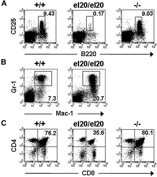 Figure 3. Hematopoietic defects of SHIP1el20/el20 mice. Representative dot plots of (A) bone marrow B220loCD25+ pre-B cells, (B) bone marrow Mac-1+Gr-1+ myeloid cells, and (C) thymic T-cell subsets from 5-week-old mice. The mean proportion for each subset was gated on live hematopoietic cells and calculated from at least 3 mice of each genotype.