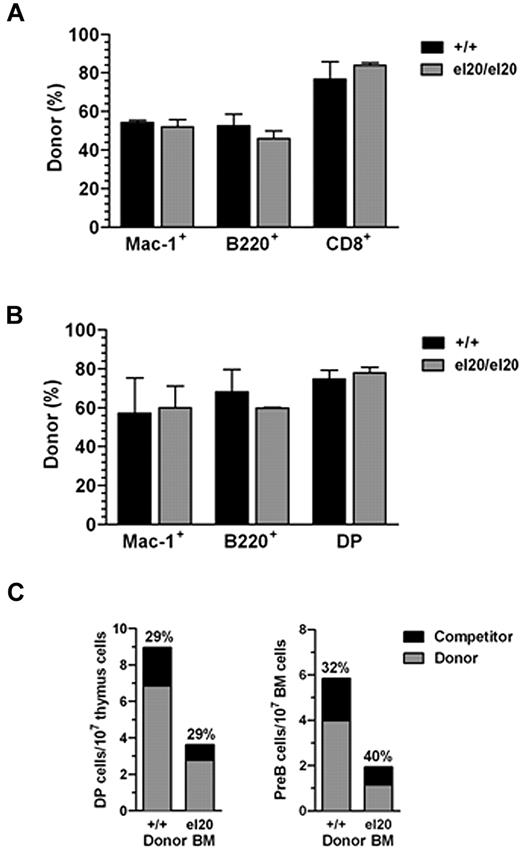 Figure 4. Reduced number of lymphoid cells in SHIP1el20/el20 mice is non–cell-autonomous. (A) Donor contribution of myeloid (Mac-1+), B-cell (B220+), and T-cell (CD8+) lineages in peripheral blood of recipient mice 4 weeks after transplantation with a 1:1 ratio of donor (SHIP1+/+ or SHIP1el20/el20) and wild-type CD45.1 competitor BM cells. Bar graphs represent the mean ± SD calculated from 3 recipients of each donor genotype. (B) Donor contribution 12 weeks after transplantation. Mice were killed to determine donor contribution to the BM myeloid (Mac-1+), BM B-cell (B220+), and thymic T-cell (DP) lineages. Bar graphs represent the mean ± SD calculated from 3 recipients of each donor genotype. (C) Total numbers of DP thymocytes and pre-B cells in mice 12 weeks after transplantation with a 1:1 ratio of donor (SHIP1+/+ or SHIP1el20/el20) and wild-type CD45.1 competitor BM cells. The relative contribution of competitor cells is shown.