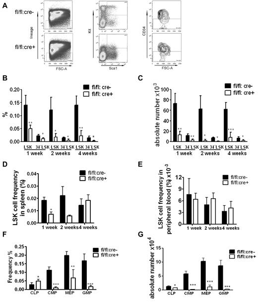 Figure 2. Loss of phenotypic HSPCs and myeloid progenitors in Shp2 knockout animals. (A) Representative FACS plots for lin−Kit+Sca1+ CD34− (34−LSK) staining 2 weeks after final Poly-I:C injection. (B) Quantification of CD34−LSK cell frequency per 2 hindlimbs at indicated time points after final Poly-I:C injection (n = 3-4). (C) Quantification of CD34−LSK cell number per 2 hindlimbs at indicated time points after final Poly-I:C injection (n = 3-4). (D) LSK cell frequency in the spleen at indicated time points after final Poly-I:C injection (n = 3-4). (E) LSK cell frequency in the peripheral blood was not changed in mutant animal. Time points were after final Poly-I:C injection (n = 3-4). (F) CMPs, GMPs, MEPs, and CLPs frequency in the BM at 2 weeks after final Poly-I:C injection. CMPs were gated as Lin−Sca-1−Kit+FcgRloCD34+. CLPs were gated as Lin−IL-7R− Sca-1loKitlo. GMPs were gated as Lin−Sca-1−Kit+FcgRhiCD34+. Megakaryocyte-erythrocyte progenitors were gated as Lin−Sca-1−Kit+FcgRloCD34−. (G) Absolute numbers of CMPs, GMPs, MEPs, and CLPs at 2 weeks after final Poly-I:C injection (n = 4). ***P < .001, **P < .01,*P < .05, data are presented as mean ± SD.
