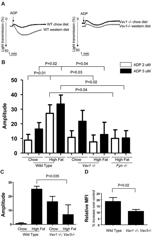 Figure 3. High-fat diet-induced platelet hyperreactivity in mice is dependent on Fyn/Vav1 signaling axis. (A) Platelets from WT and vav1−/− mice on chow or western diet for 2 weeks were stimulated with 2μM ADP. Aggregation was assessed turbidimetrically with a dual-channel aggregometer. Shown are representative curves. (B) Aggregation amplitude of platelets from WT or vav1−/− mice on chow or western diet or fyn−/− mice on western diet for 2 weeks incubated with 2 or 5μM ADP as indicated. (C) Platelets from WT and vav1−/−;Vav3−/− mice on chow or western diet for 2 weeks were treated with 1μM ADP. Aggregation was assessed turbidimetrically with a dual-channel aggregometer. Aggregation amplitudes were shown as indicated. (D) Platelets from WT and vav1−/−;Vav3−/− mice were column purified and incubated with 40 μg/mL native LDL or oxLDL. After 20 minutes, platelets were further incubated with or without 1μM ADP and with JonA Ab for 10 minutes and then fixed before subject to flow cytometric analysis. Percentage increases in MFI of stained platelets treated with ADP and oxLDL in comparison to that of platelets treated with ADP and native LDL were shown.