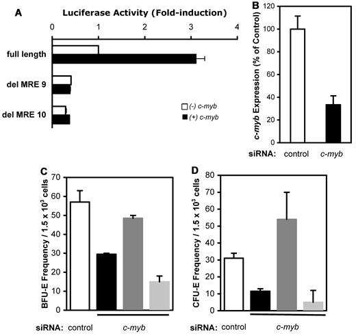 Figure 7. NmU rescues erythroid colony formation when endogenous c-myb expression is silenced in primary human CD34+ cells. (A) Primary human CD34+ cells were cultured with IL-3, IL-6, and SCF for 8 days and nucleofected with either full-length NmU promoter or mutant NmU promoter constructs in the absence or presence of c-myb expression construct. After 48 hours, luciferase activity was measured and presented as mean fold induction of a duplicate determination. (B) Primary human CD34+ cells were nucleofected with control or c-myb siRNA; and 48 hours after nucleofection, the expression of c-myb was determined by quantitative real-time PCR in control and c-myb siRNA-treated cells. The frequencies of (C) BFU-E and (D) CFU-E derived from CD34+ cells are presented as the mean from duplicate determinations from 3 independent experiments. White bars represent control siRNA-treated cells; black bars, c-myb siRNA-treated cells; dark gray bars, c-myb siRNA-treated cells cultured with exogenous NmU peptide; and light gray bars, c-myb siRNA-treated cells cultured with exogenous neurotensin.