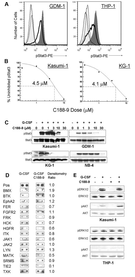 Figure 3. A novel Stat3 SH2 small-molecule probe, C188-9, inhibits Stat3 phosphorylation in AML cells. (A) C188-9 inhibited G-CSF–induced pStat3 in a dose-dependent manner, as demonstrated by FACS. Representative histogram overlays for Kasumi-1 and THP-1 cell lines are shown. Light gray area represents unstimulated; dark gray area, G-CSF (100 ng/mL) only; solid line, G-CSF + 3μM C188-9; and dotted line, G-CSF + 10μM C188-9. (B) The dose-response relationship for C188-9 inhibition of G-CSF–induced pStat3 for 4 AML cell lines is shown. The IC50 values for all 6 cell lines were between 4 and 8μM. Each point represents the mean of at least 3 separate experiments. (C) C188-9 inhibited G-CSF–induced pStat3 in a dose-dependent manner but did not alter total Stat3 protein levels, as demonstrated by Western blotting. For both FACS and Western blotting, cells were treated with C188-9 at the indicated dose for 1 hour and then stimulated with G-CSF (100 ng/mL) for 15 minutes. (D) C188-9 did not affect the tyrosine phosphorylation levels of most tyrosine kinases represented on a tyrosine kinase protein array. Duplicate array spots from cells stimulated with 100 ng/mL G-CSF (left) and cells pretreated with 10μM C188-9 before G-CSF (middle) are shown. The ratio of inhibitor/no inhibitor densitometric values is shown in the right-most column. (E) C188-9 did not inhibit the activity of the MAPK/ERK pathway or the Akt pathway, as assessed by pERK1/2 and pAkt immunoreactivities.