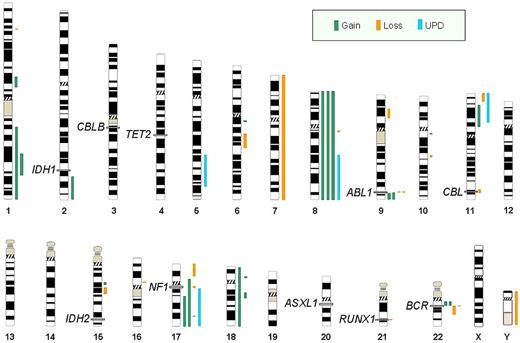 Figure 3. Overview of all genetic aberrations found by SNP-A karyotyping in 26 patients with AP and BP. Each line represents chromosomal aberration: green indicates copy number gains; orange, losses; and blue, regions of UPD. Exact location of IDH1, CBLB, TET2, ABL1, CBL, IDH2, NF1, ASXL1, RUNX1, and BCR are noted on chromosomes 2q, 3q, 4q, 9q, 11q, 15q, 17q, 20q, 21q, and 22q, respectively.