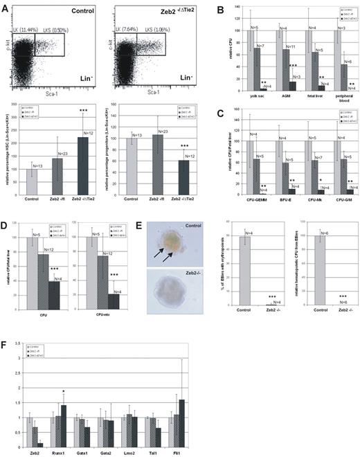 Figure 4. Zeb2 is not essential for LSK marker–enriched HSC migration to the fetal liver, but blocks definitive hematopoietic differentiation at an early stage. (A) FACS quantification of HSCs (LSK) and early progenitors (LK, Lin−cKit+Sca1−) in wild-type and mutant fetal liver. Relative 2.2-fold increase of HSCs (LSK) and relative 40% decrease of early committed progenitors (LK) in Zeb2−/Tie2-Cre fetal livers compared with wild-type littermates. (B) Quantification of total hematopoietic colonies formed after in vitro differentiation in methylcellulose of cells isolated from various hematopoietic organs: E10.5 yolk sacs, E11.5 AGM, E11.5-E12.0 fetal livers, and E12.0 peripheral blood. Equal amounts of cells per organ were plated in triplicate, and the average number of colonies obtained was normalized to the wild-type controls. For each organ, at least 2 experiments were performed. (C) Quantification of mixed (CFU-GEMM), erythroid (BFU-E), megakaryocyte (CFU-Mk), and granulocyte/monocyte (CFU-G/M) colonies formed after in vitro differentiation of E11.5 fetal livers cells of Zeb2−/ΔTie2-Cre and heterozygote embryos relative to control littermates. (D) Quantification of total (CFU) and mixed (CFU-GEMM) hematopoietic colonies formed after in vitro differentiation of cells isolated from E14.5 fetal livers of Zeb2−/ΔVav-iCre and heterozygote embryos relative to control littermates. (E) In vitro differentiation of wild-type and Zeb2-null ES cells and quantification of hemoglobin-positive (arrows) embryoid bodies at day 9. Shown is the quantification of hematopoietic colonies formed after in vitro differentiation of Zeb2-null embryoid body–derived cells relative to wild-type embryoid body–derived cells. (F) qRT-PCR on total RNA from sorted Lin−cKit+ HSCs/HPCs from mutant and control E12.0 fetal livers, analyzing the mRNA levels of various important hematopoietic transcription factors involved in HSC differentiation. Two independent sorting experiments were performed, and qRT-PCR was done in triplicate on biological replicates (n > 4 per genotype). Bars in A-F represent mean ± SD; *P < .05; **P < .01; ***P < .001.