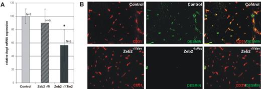 Figure 6. Hematopoietic-specific loss of Zeb2 decreases Ang1 expression in the head and is associated with decreased desmin+ pericyte coverage of the head vasculature. (A) qRT-PCR for angiopoietin-1 on RNA isolated from wild-type and Zeb2−/ΔTie2-Cre heads. Technical (n > 3) and biological replicates (n > 5 embryos per genotype) were used. Bars represent mean ± SD; *P < .05; **P < .01; ***P < .001. (B) CD31/desmin immunofluorescence staining on Zeb2−/ΔVav-iCre and control wild-type head vasculature showing lack of desmin+ cell coverage of the head vasculature in Zeb2−/ΔVav-iCre neonates.