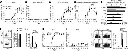 Figure 4. Expansion and activation of CD8+ T cells and IFN-γ hypercytokinemia in EBV-infected NOG-hCD34 mice. (A-D) Dynamics of human CD8+ T cells in PB. PB was routinely collected from mock-infected mice (n = 5) and EBV-infected mice (n = 12) and was analyzed by flow cytometry. Percentages of CD8+ cells (A), CD8+CD45RA+ cells (B), CD8+CD45RO+ cells (C), and CD8+CD45RO+CD38+HLA-DR+ cells (D) in PBMCs are, respectively shown. (E) Expansion of activated CD8+ T cells in multiple organs of EBV-infected mice. The cell numbers of CD8+CD45RO+CD38+HLA-DR+ cells (activated CD8+ T cells) in the spleen, liver, BM, lung, kidney, and ascitic lavage fluid of mock-infected mice (n = 4) and EBV-infected mice (n = 7) are shown. (F) Ki67 expression in CD8+ T cells. (Left) Representatives of splenic CD8+ T cells of mock-infected and EBV-infected mice. Values on quadrants represent the percentages of CD8+ T cells positive for Ki67. (Right) The percentages of Ki67+ cells in splenic CD8+ T cells of mock-infected mice (n = 4) and EBV-infected mice (n = 7) are shown. (G) mRNA expression in CD8+ T cells. Splenic CD8+ T cells of mock-infected mice (n = 6) and EBV-infected mice (n = 9) were isolated by cell sorting. The expression levels of IFNG (left) and TNFA (right) were analyzed by real-time RT-PCR and were normalized to that of GAPDH. Results are presented as the fold change compared with the value in mock-infected mice. (H-I) Longitudinal quantification of IFN-γ and TNF-α in plasma. Plasma was routinely collected from mock-infected mice (n = 4) and EBV-infected mice (n = 7), and the concentrations of IFN-γ (H) and TNF-α (I) were quantified by cytokine bead array system. (J) Detection of EBV-specific HLA-A*2402–restricted CD8+ cells. Splenic human MNCs isolated from mock-infected mice (n = 4) and EBV-infected mice (n = 7) were stained with an anti-CD8 antibody and either HLA-A*2402 EBV tetramers or HLA-A*2402 HIV-1 tetramers (as a negative control of the assay) and were analyzed by flow cytometry. Representatives (left) and the percentages of CD8+ T cells positive for the tetramers in mock-infected and EBV-infected mice (right) are shown. Asterisks in panels A, C, D, and H represent statistic significance (P < .05 by Student t test) versus the value obtained from the mock-infected mice, and daggers represent statistic significance (P < .05 by paired t test) vs the initial value. Asterisks in panel E represent statistic significance (P < .05 by Welch t test) versus the value obtained from the mock-infected mice. Asterisks in panel F, G, and J represent statistic significance (P < .05 by Student t test) versus the value obtained from the mock-infected mice.