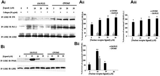 Figure 7. LXR-β interacts with Syk, PLC-γ2, and PPAR-γ. Platelets (8 × 108 cells/mL) pretreated with GW3965 or 15d-PGJ2 (5-30μM) or DMSO (0.08% volume/volume) for 10 minutes and stimulated with collagen (50 μg/mL) for 90 seconds in the presence of ethyleneglycoltetraacetic acid (10μM), indomethacin (10μM), and apyrase (2 U/mL). LXR-β was immunoprecipitated from lysates separated by sodium dodecyl sulfate-polyacrylamide gel electrophoresis and immunoblotted with anti-Syk, anti-PLC-γ2 (A) or anti-PPAR-γ (B) antibodies. Membranes were stripped and reblotted for LXR-β. Band intensities were quantified from 3 separate experiments and normalized for LXR-β loading. Numerical data represent the percentage increase in the associations of LXR with Syk (Aii), PLC-γ2 (Aiii), or PPAR-γ (Bi), where 0% association was defined as the level of association in the untreated samples. *P < .05. **P < .01.