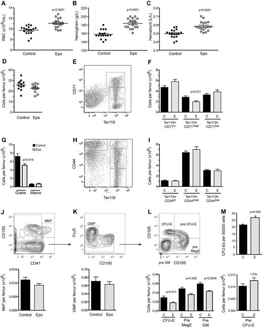 Figure 2. Administration of a low dose of Epo induces a mild increase in peripheral erythropoiesis, whereas marrow erythropoiesis remains largely unaffected. Differential counts of (A) RBCs, (B) hemoglobin, and (C) hematocrit in PB 10 days after the first PBS or Epo injection (n = 17 per treatment). (D) Total BM cellularity. Fractionation of erythroid differentiation in BM using (E-F) CD71 and Ter119 or (H-I) CD44 and Ter119. The Ter119+/CD71hi and Ter119+/CD44hi fractions represent the proerythroblasts and basophilic erythroblasts, Ter119+/CD71med and Ter119+/CD44med compose the polychromatic and orthochromatic erythroblasts, and Ter119+/CD71low and Ter119+/CD44low contain enucleated reticulocytes and mature erythrocytes. (G) Numbers of granulocytes and macrophages, as determined by FACS using the markers Mac1, Gr1, and F4/80. Further fractionation of myeloid and erythroid progenitor subsets by FACS into (J) megakaryocyte progenitors (MkP), (K) myeloid progenitors (granulocyte macrophage progenitor), and (L) CFU-Es, Pre MegE, and Pre GM (left) and Pre CFU-E progenitors (right). (M) BM CFU-E colonies (n = 5). BM was collected 10 days after the first PBS or Epo injection (n = 12 per treatment if not stated otherwise). All data are presented as mean ± SEM.
