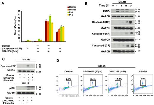 Figure 6. Cell death induced by plinabulin depends on JNK as well as caspases. (A) MM.1S, MM.1R, and primary patients cells were pretreated with PAN caspase inhibitor Z-VAD-FMK (40μM, 2 hours) followed by plinabulin treatment (8nM, 48 hours). After the desired time point cell death were measured with the Trypan Blue assay (n = 2; P > .05). (B) MM.1R cells were treated with higher doses of plinabulin (20nM) for 1, 6, 16, and 24 hours, and Western blot analyses were performed with antibodies against pJNK, caspase-3, caspase-8, caspase-9, or GAPDH. CF indicates cleaved fragment. Results were representative of 2 independent experiments with similar results. (C top) MM.1R cells were treated with PAN caspase inhibitor for 2 hours, and then plinabulin (8nM) was added for an additional 48 hours. Protein lysate was prepared; phosphorylation of JNK was checked with Western blot analysis. (C bottom) MM.1R cells were pretreated with JNK inhibitor SP600125 (20μM, 2 hours), and plinabulin (8nM) was added for another 48 hours. After 48 hours protein lysate was prepared and cleaved caspase-3 expression was checked with Western blot analysis. (D) MM cell line MM.1S was pretreated with SP600125 (20μM) for 2 hours, and plinabulin (8nM) was added for an additional 16 hours followed by analysis for histone H3 phosphorylation with the use of flow cytometry. Data are representation of 3 independent experiments.