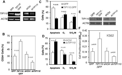 Figure 5. Effects of TIP110 expression on differentiation, cell-cycle status, and apoptosis of CD34+ cells. Freshly isolated CD34+ cells were immediately transfected with expression plasmids for GFP, TIP110.GFP, shRNA control (shCtrl), or shRNA for TIP110 (shTIP110). These cells were cultured in IMDM with 1% FBS without the addition of any growth factors for 2 days, then harvested for TIP110 mRNA expression by semiquantitative RT-PCR (A), percentage of CD34-expressing cells by FACS (B), and cell-cycle analysis and apoptosis by flow cytometry for TIP110 (C-D). Shown are GFP-overexpressing (C) and shTIP110-underexpressing (D) CD34+ cells. Data are shown as means ± SEM for 3 experiments, each done in triplicate. K562 cells were transiently transfected with expression plasmids for GFP, TIP110.GFP, shRNA control (shCtrl), or shRNA for TIP110 (shTIP110). Cells were cultured for 48 hours and harvested for evaluation of TIP110 expression by Western blotting (E) or assessed by the MTT assay for cell proliferation (F). Data in panels E and F are from 1 of at least 3 reproducible experiments.