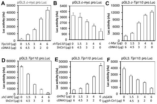 Figure 7. Reciprocal regulation of TIP110 and CMYC and GATA2 regulation of TIP110. (A-B) 293T cells were transfected with pGL3.CMYCProm-Luc and increasing amounts of TIP110 expression plasmid (A) or shTIP110 plasmid (B). 293T cells were transfected with pGL3.TIP110Prom-Luc and increasing amounts of CMYC expression plasmid (C) or shCMYC plasmid (D), and increasing amounts of GATA2 expression plasmid (E) or shGATA2 plasmid (F). Transfected cells were cultured for 48 hours and then harvested for luciferase reporter gene assay. In all transfections, either pc.DNA3 or shCtrl, as indicated, was included to equalize the total amount of transfected DNA in each experiment, and the pTK-βgal plasmid was included to normalize the transfection efficiency variations among all transfections. Data represent the means ± SEM of 3 representative experiments, each done in triplicate.