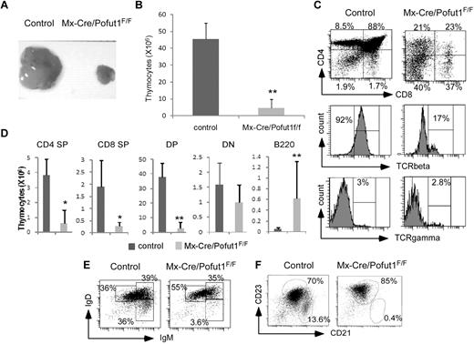 Figure 2. Impaired T- and MZB-cell development in Mx-Cre/Pofut1F/F mice. (A-B) Representative gross anatomy of thymus (A) and total thymocyte numbers per lobe from 16-week-old, pIpC-treated control or Mx-Cre/Pofut1F/F mice (n = 6) (B). (C) FACS analysis of CD4 versus CD8 on total thymocytes, as well as histograms for TCR-αβ and TCR-γδ expression on DN4 thymocytes, from pIpC-treated control and Mx-Cre/Pofut1F/F mice. Percentages of CD4+, CD8+, CD4+CD8+ (DP), and CD4−CD8− (DN) are indicated in the quadrants. (D) Absolute numbers of thymocyte subsets per lobe described in panel C and intrathymic B220+ cells were calculated and shown as bar diagrams (n = 5). (B,D) Bar graphs represent the mean ± SD. Student t test was performed to compare the absolute number of cells from Mx-Cre/Pofut1F/F mice with those of control mice. *P < .05. **P < .01. (E-F) FACS analysis of spleen IgM versus IgD expression on B220+ cells (E), and CD21 versus CD23 expression on B220+ cells (F) in control and Mx-Cre/Pofut1F/F mice. (C,E-F) Data are representative of 4 independent experiments with 1 or 2 mice of each genotype per experiment.