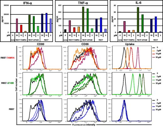 Figure 2. Fluorescently labeled R837 activates human pDCs. Human pDCs, purified from fresh buffy coats and precultured with IL-3 for 24 hours, were stimulated with different concentrations of R837, labeled or not with TAMRA or AF488. After overnight incubation, cytokine concentrations in the culture supernatant fluids were assayed, and cells were analyzed by flow cytometry for CD80 and CD86 expression and for compound uptake (TAMRA or AF488 fluorescence). Data shown are from one donor and are representative of ≥ 3 independent donors.