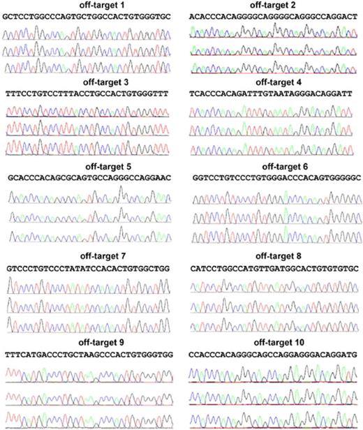 Figure 5. Analysis of the top 10 putative off-targets for AAVS1 ZFNs in targeted clones to rule out NHEJ mutations at those sites. Ten SELEX-predicted genomic off-targets were PCR-amplified and products sequenced for iXC1-APC-gp91 c3 (top chromatograph), iXC9-APC-gp91 c9 (middle chromatograph), and iXC9-APC-gp91 c21 (bottom chromatograph) for each of the 10 sites as indicated. Because the PCR products are from a homogenous population in each clone, mutations in the off-target sequence will show as single/double peaks/nucleotides that are different from reference sequence. None of these 3 clones showed any mutations in the off-target sequences.