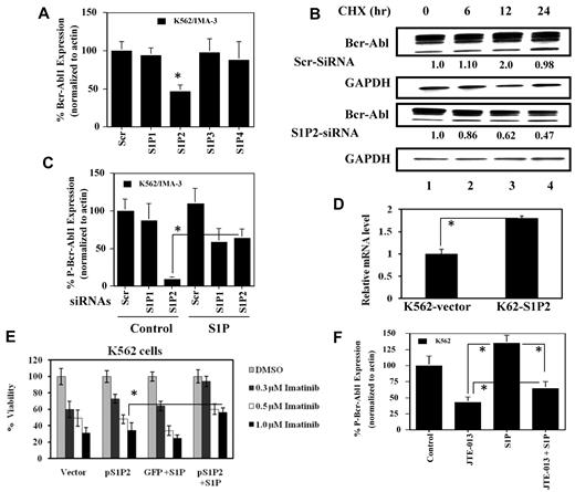 Figure 2. Involvement of S1P2 signaling in SK-1/S1P-induced stability of Bcr-Abl1 in drug resistant compared with sensitive K562 cells. (A) Effects of the knockdown of S1P1, S1P2, S1P3 and S1P4 using siRNAs on Bcr-Abl1 protein in K562/IMA-3 cells were examined using Western blotting compared with nontargeting scrambled (Scr) controls. Actin was used as a loading control. (B) Effects of knockdown of S1P2 using siRNA on the stability of Bcr-Abl1 protein compared with controls (Scr siRNA transfected cells) in the K562/IMA-3 drug resistant cells was measured at 0, 6, 12, and 24 hours after CHX treatments using Western blotting (first and third panels lanes 1-4, respectively). GAPDH was used as a loading control (second and fourth panels). Relative expression levels of Bcr-Abl1 (normalized to GAPDH levels) at 0-24 hours post-CHX treatment in cells transfected with Scr or S1P2 siRNAs are shown below each lane. (C) Effects of knockdown of S1P1, or S1P2 using siRNAs in the absence/presence of exogenous BSA-conjugated S1P (1.0μM, added every 3 hours for 24 hours) on P-Bcr-Abl1 were assessed in K562/IMA-3 cells using Western blotting. Actin was used as a loading control. (D-E) Effects of overexpression of human S1P2-GFP using a lentiviral expression vector, as confirmed by Q-PCR (D) on imatinib-induced growth inhibition in sensitive K562 cells at 0.3, 0.5, and 1.0μM for 48 hours in the absence/presence of exogenous S1P (1μM) were examined using trypan blue exclusion (E). Vector-transduced cells were used as controls. (F) Regulation of P-Bcr-Abl1 (Y245) by S1P/S1P2 signaling was determined after treatment of K562 cells with 0.5μM BSA-conjugated S1P for 24 hours in the absence/presence of JTE-013 compared with untreated controls or JTE-013–treated cells using Western blotting. Actin was used as a loading control. These experiments were performed in duplicates, and error bars represent SD. *P < .05 was considered significant.