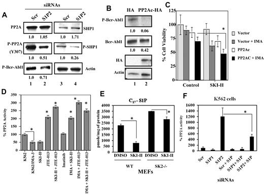 Figure 5. Role of PP2A activation in the regulation of Bcr-Abl1 in response to SK-1/S1P2 targeting. (A) Effects of knockdown of S1P2 in K562/IMA-3 cells using siRNA compared with Scr-transfected controls (lanes 2 and 1, respectively) on total and P-PP2A and P-SHP1 (at Y307 and S591, respectively), were assessed by Western blotting (left and right top and middle panels, respectively). Effects of knockdown of S1P2 on the expression of P-Bcr-Abl1 at Y245 were also determined by Western blotting compared with Scr controls (bottom left panel lanes 2 and 1, respectively). β-actin was used as a loading control (bottom right panel). (B) Effects of overexpression of PP2Ac-HA on the levels of P-Bcr-Abl1 (Y245), or total Bcr-Abl1 (first and second panels) were determined by Western blotting, compared with controls (lanes 2-1, respectively). Expression of PP2Ac-HA was also confirmed in these experiments (third panel). (C) Inhibition of growth in response to imatinib (0.5μM for 48 hours) in the absence/presence of PP2Ac-HA overexpression and/or SKI-II in K562/IMA-3 cells was examined using trypan blue exclusion. (D) Effects of targeting SK and S1P2 using small molecule inhibitors SKI-II and JTE-013, respectively, on PP2A activity levels in extracts isolated from K562 and K562/IMA-3 cells in the absence or presence of imatinib compared with untreated controls were measured as described in “Measurement of PP2A activity.” (E) Inhibitory effects of SKI-II on SK-1 and SK-2 enzyme activities in wt MEFs, versus SK-1 activity on SK-2−/− MEFs were measured using C17-Sph labeling followed by measurement of C17-S1P generation in cells by LC/MS/MS. (F) Effects of knockdown of S1P1 or S1P2 using siRNAs on PP2A activity in the absence/presence of exogenous S1P (1μM) in sensitive K562 cell extracts were measured using the PP2A activity assay kit. Scr siRNA was used as a control. These experiments were performed in duplicates, and error bars represent SD. *P < .05 was considered significant. In panels A and B, relative expression levels of proteins (normalized to actin levels) are shown below each lane.