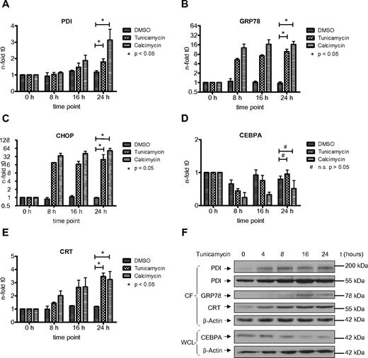 Figure 4. Induction of ER stress in HL60 cells activates PDI and thereby suppresses CEBPA protein. (A-E) Real-time PCR assessing mRNAs for PDI (A), GRP78 (B), CHOP (C), CEBPA (D), and calreticulin (CRT; E) from HL60 cells treated for 24 hours with 3 μg/mL tunicamycin, 3.7 μg/mL calcimycin, or DMSO as control. Error bars indicate SD based on 3 independent experiments. (F) Western blot of the cytoplasmic fraction (CF) and whole-cell lysates (WCL) from HL60 cells treated with 3 μg/mL tunicamycin for 24 hours. Membranes were stained with Abs against PDI, GRP78, calreticulin (CRT), and CEBPA. β-actin was used as loading control.