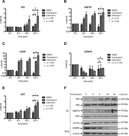 Figure 5. PDI is up-regulated in U937 cells after induction of ER stress and suppresses CEBPA protein. (A-E) Real-time PCR assessing mRNAs for PDI (A), GRP78 (B), CHOP (C), CEBPA (D), and calreticulin (CRT; E) from U937 cells treated for 24 hours with 3 μg/mL tunicamycin, 3.7μg/mL calcimycin, or DMSO as control. Error bars indicate SD based on 3 independent experiments. (F) Western blot of the cytoplasmic fraction (CF) and whole-cell lysates (WCL) from U937 cells treated with 3 μg/mL tunicamycin for 24 hours. Membranes were stained with Abs against PDI, GRP78, calreticulin (CRT), and CEBPA. β-actin was used as loading control.