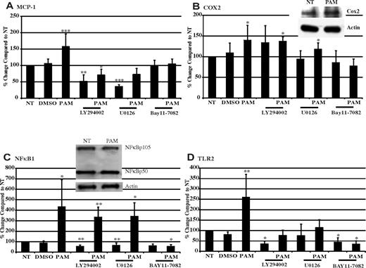 Figure 4. TLR2 ligand increases inflammatory-related gene and protein expressions. (A-D) Meg-01 cells were pretreated for 45 minutes with 50μM LY294002, U0126, BAY11-7082, or DMSO, and then treated for 3 hours with 1 μg/mL of Pam3CSK4 (PAM). MCP-1 (A), COX2 (B), NFκB1 (C), and TLR2 (D) gene expression was compared with NT, which was set at 100%. Insets in panels B and C show Meg-01 cells treated with 1 μg/mL of Pam3CSK4 for 3 hours. Western blots were probed for COX2 (B), NFκB105/50 (C), and actin (loading controls). Western blots are representative of 3 independent experiments. *P < .05, **P < .01, and ***P < .001 compared with NT (n = 12 in panel A; n = 9 in panel B; n = 8 in panel C; and n = 10 in panel D).