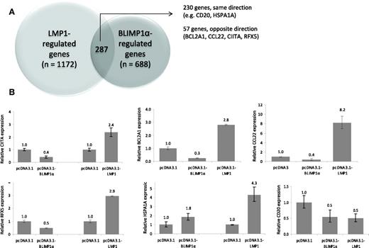 Figure 4. LMP-1 partially disrupts the BLIMP1α transcriptional program in GC B cells. (A) Genome-wide expression profiling revealed that BLIMP1α expression in GC B cells was followed by the up-regulation of 321 genes and the down-regulation of 654 genes. LMP-1 expression was followed by the up-regulation of 365 genes and the down-regulation of 1094 genes. A total of 230 genes were found to be concordantly regulated by LMP-1 and BLIMP1α. However, 57 genes were found to be down-regulated by BLIMP1α and up-regulated by LMP-1, or vice versa (B) Validation of genes from the microarray analysis. LMP-1 expression in GC B cells resulted in the up-regulation of a number of genes repressed by BLIMP1α, including CIITA, BCL2A1, RFX5, and CCL22. Both LMP-1 and BLIMP1α down-regulated CD20 and up-regulated HSPA1A.