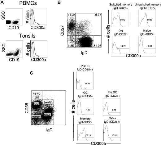 Figure 1. Flow cytometric analysis of CD300a expression on human peripheral blood and tonsil B cells. (A) Freshly isolated PBMCs were labeled with anti-CD19 and anti-CD300a mAb. The lymphocyte gate was determined according to the forward and side scatter parameters. The expression of CD300a was assessed on B cells (CD19+). Empty histogram represents binding of anti-CD300a mAb; and gray histogram, the binding of isotype control Ig. (B) Freshly isolated PBMCs were labeled with anti-CD19, anti-IgD, anti-CD27, and anti-CD300a mAb. The expression of CD300a for a representative donor was measured for the 4 subsets within the CD19+ gate (B cells) defined by the expression of IgD and CD27. The number in the histograms indicates the percentage of CD300a+ cells. (C) Single-cell suspensions from tonsils were labeled with anti-CD19, anti-IgD, anti-CD38, and anti-CD300a mAb. The expression of CD300a for a representative donor was measured in the 5 subsets of the CD19+ gate (B cells) defined by the expression of IgD and CD38. The number in the histograms indicates the percentage of CD300a+ cells.