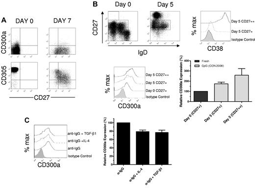 Figure 2. Regulation of the expression of CD300a on human B cells. (A) Purified naive B cells were activated and cultured according to the protocol described in “Cell cultures.” The expression of CD27, CD300a, and CD305 was assessed at day 0 and day 7 of the cultures. Results are representative of 3 independent experiments. (B) Memory CD27+ B cells were purified and sorted according to the protocol described in “Cell cultures” and “Flow cytometric analyses” and stimulated with CpG 2006 for 5 days. Dot plots of IgD and CD27 expression at day 0 (before sorting) and day 5, and a histogram of CD38 expression for a representative culture is also shown (upper panels). Histogram of CD300a expression in the CD27+ and CD27++ cells and graphic representation of the average relative MFI ± SEM of CD300a expression (n = 4) (lower panels). (C) Purified B cells were stimulated with anti-IgG in the presence of IL-4 or TGF-β1 for 4 days according to the protocol described in “Cell cultures.” Flow cytometric analyses were performed to assess CD300a expression by the CD27+ cells. Histograms from a representative donor are shown (left panel) along with the graphic representation of the average relative MFI plus or minus SEM of CD300a expression (n = 4; right panel).