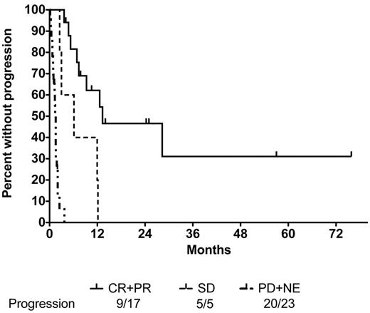 Figure 2. Time to progression. (A) Kaplan-Meier plot of time to progression is shown for descriptive purposes, separated by response category. The median time to progression was 13.0 months for CR+PR, 4.6 for SD and 1.4 for PD+NE. Note that TTP is biased in this analysis because PD or NE could occur at any time, while a categorical response necessitated a 2-cycle interval before disease reassessment occurred.