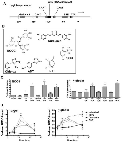 Figure 1. Induction of γ-globin gene expression by activators of the NRF2 antioxidant response element signaling pathway. (A) The human γ-globin gene promoter contains an ARE consensus sequence. (B) Compounds that activate NRF2/ARE pathway signaling. (C) Effect of NRF2 activators on NQO1 and γ-globin mRNA levels. K562 cells were treated with nontoxic doses of each compound for 12 hours before RNA isolation. (D) Time course of tBHQ, curcumin, and D3T induction of NQO1 and γ-globin mRNA in K562 cells. Real-time PCR was performed in triplicate. Results are presented as relative mRNA expression normalized to untreated (C) or DMSO treated (D) samples. Error bars represent ± SEM, *P < .05, compared with DMSO.