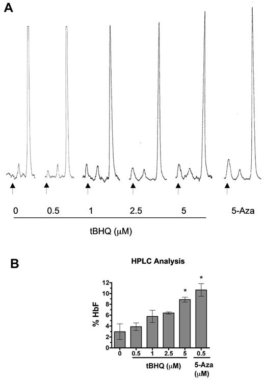 Figure 6. tBHQ increases HbF levels in primary human erythroid cells. Human CD34+ peripheral blood cells were treated with tBHQ during in vitro erythroid differentiation. At the end of differentiation on day 20, cells were lysed, and the proportions of HbA and HbF were determined by ion exchange HPLC. (A) Representative HPLC traces. Arrows indicate HbF peak. (B) Quantitation of HbF from 3 experiments. A total of 500nM 5-Aza was used as a positive control for HbF induction. Error bars represent ± 1 SEM. *P < .05.