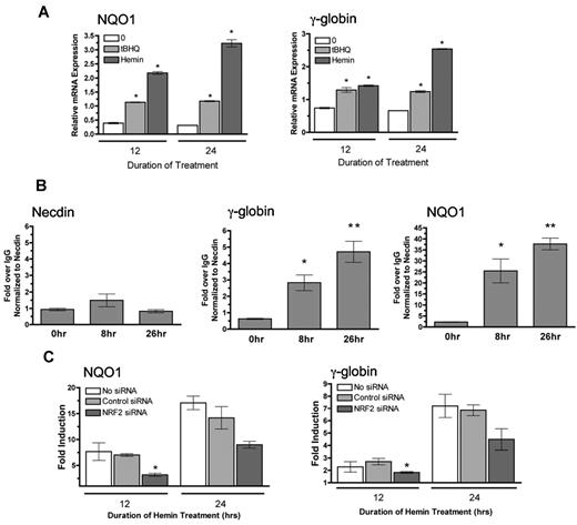 Figure 7. Hemin induces NRF2 to bind to the γ-globin promoter and requires NRF2 for full induction of γ-globin. (A) Effect of tBHQ and hemin on NQO1 and γ-globin mRNA levels. K562 cells were treated with 25μM of tBHQ and 20μM of hemin for 12 and 24 hours before RNA isolation. (B) ChIP analysis of K562 cells treated with hemin for 0, 8, and 26 hours. Quantitative real-time PCR was performed on immunoprecipitated DNA with the use of primers that flank the ARE region in the γ-globin promoter. The NQO1 promoter was used as a positive control, and necdin promoter was used as a negative control. *P < .05 compared with untreated. Results presented as Enrichment over IgG, normalized to necdin. (C) Effect of NRF2 siRNA on hemin fold induction of NQO1 and γ-globin mRNA. siRNA specific for NRF2 was transiently transfected into K562 cells. At 24 hours later, cells were treated with tBHQ for 12 or 24 hours before RNA isolation. Control siRNA and a mock transfection (−) were used as controls. Results of real-time PCR are presented as fold induction. *P < .05 compared with control siRNA.