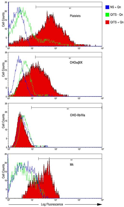Figure 2. Binding of QITP antibodies to platelets, CHO-GPIb/IX cells, CHO-GPIIb/IIIa cells, and Mks. QITP antibodies (WJ) were bound in the presence (+Qn, red) and absence (−Qn, green) to the platelets, CHO cells expressing human GPIb/IX (CHOαβIX) or GPIIb/IIIa, and cultured Mks derived from CD34+ cells. Control NS plus Qn is shown in blue.