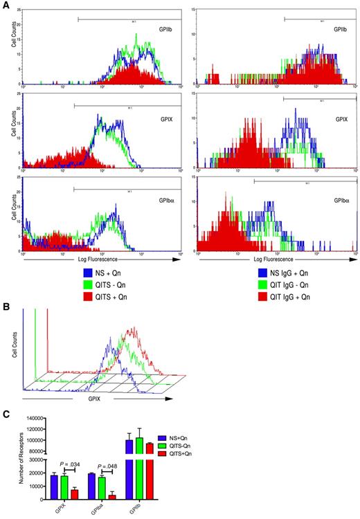 Figure 5. Inhibition of GPIX and GPIbα expression on treatment of CD34+ cells with QITP sera or QITP IgG. Cultured CD34+ cells were treated on day 4 with QITP serum or purified IgG plus Qn or with controls (QITP serum or QITP IgG − Qn or NS or NS IgG + Qn) and analyzed after 4 days in culture. (A) Left panels: flow cytometric data for GPIIb+, GPIX+, and GPIbα+ Mks treated with NS + Qn (blue), QITP serum − Qn (green), and QITP serum + Qn (red). Right panels: flow cytometric data for GPIIb+, GPIX+, and GPIbα+ Mks treated with NS IgG + Qn (blue), QITP IgG − Qn (green), and QITP IgG + Qn (red). Treatment with QITP serum or QITP IgG + Qn greatly decreased the expression of GPIX and GPIbα. (B) Mature Mks were stained with QITP serum + Qn or with controls (QITP serum − Qn or NS + Qn) for 30 minutes, followed by staining with PE-conjugated anti-human IgG antibody and anti-GPIX antibody conjugated with Alexa Fluor 647. The flow cytometric data show that the binding of the anti-GPIX antibody was not affected by prior incubation with QITP serum + Qn. (C) Number of receptors present on Mks determined as described in the supplemental “Methods.” The number of GPIX and GPIbα molecules on the cell surface was significantly reduced after QITS + Qn treatment. The mean ± SD is shown.