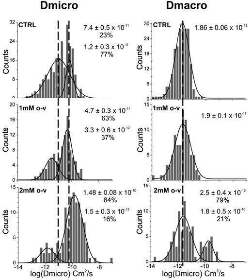 Figure 5. Effect of o-vanadate on the microscopic and macroscopic diffusion coefficients of band 3 in intact erythrocytes. Distributions of the logarithms of Dmicro and DMacro obtained from single particle tracking measurements on intact control cells (top row) and o-vanadate–treated cells (1mM, middle row; 2mM, bottom row). As anticipated, the cells used for single-particle diffusion analyses displayed the same morphologic changes as a function of time as the similarly treated cells shown in Figure 4A. Gaussian fits were performed on the histograms to determine the mean values of the distributions and their abundances. The number of Gaussian distributions required to fit the histograms was chosen using the F test with a 95% confidence level.