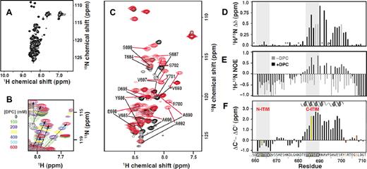 Figure 1. A segment spanning residues 684-702 of the PECAM-1 cytoplasmic domain interacts with DPC micelles. (A) The HSQC spectrum of 15N–labeled PECAM594-711, generated as described in supplemental Figure 1, reveals its intrinsically unstructured nature. (B) HSQC spectra of 15N–labeled PECAM594-711 at DPC concentrations ranging from 0-600mM. Arrows highlight residues that shift and are presumed to participate in DPC binding. (C) PECAM659-711 HSQC signals in the absence (black) and presence (red) of DPC micelles exhibiting 1H/15N chemical shift differences greater than 0.2 ppm are labeled with their single-letter amino acid code and position within full-length human PECAM-1. (D) Plot of the combined 1H/15N chemical shift difference for residues of PECAM659-711 in the absence versus presence of 600mM DPC. Gray bars indicate residues for which backbone resonances were detected in one but not the other sample (and thus, no shift difference could be calculated). Proline 694 is marked with “P,” and residues where it was not possible to make assignments because of missing or overlapping cross peaks are indicated with asterisks. (E) Heteronuclear 1H-15N NOE values in the absence (gray) and presence (black) of DPC indicate that residues perturbed by micelles also become more ordered. Residues for which the hetNOE value could not be determined have a value of 0. (F) Three-residue averaged secondary shifts, where (ΔCα − ΔCβ)i = 1/3(ΔCi − 1α + ΔCαi + ΔCi + 1α − ΔCi − 1β − ΔCβi − ΔCi + 1β), versus residue sequence numbers i.18 Each ΔCα and ΔCβ in the equation is the deviation between the experimentally observed and random coil chemical shift value of 13Cα and 13Cβ, respectively.19,20 Characteristic positive (ΔCα − ΔCβ) values predict a helix spanning T682-Y701.