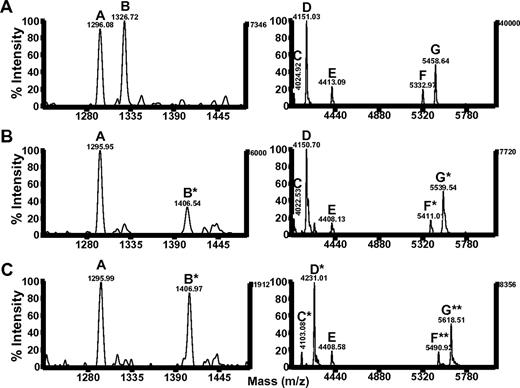 Figure 4. Phosphorylation of the C-terminal PECAM-1 ITIM tyrosine residue (Y686) is required for and is independent of phosphorylation of the N-terminal PECAM-1 ITIM tyrosine residue (Y663). MALDI-TOF mass spectra of tryptic peptides from (A) unphosphorylated, (B) phosphorylated peak 1, or (C) phosphorylated peak 2 species of PECAM594-711Y636,701F. Peptides A and E contain no tyrosine (Y) residues, peptide B contains only Y686, peptides C and D contain only Y663, and peptides F and G contain both Y663 and Y686 (refer to Table 2 for a complete description of the amino acid sequence and location of peptides A-G within full-length PECAM-1). Peptides denoted by a single asterisk (*) represent addition of a single phosphate, whereas those denoted by 2 asterisks (**) contain 2 phosphate moieties. Note that peptides generated from phosphorylated peak 1 include unphosphorylated species that contain either no Y residues (peptides A and E) or only Y663 (peptides C and D) and singly phosphorylated species that contain Y686 (peptides B*, F*, and G*). Fragments generated from phosphorylated peak 2 include unphosphorylated species that contain no Y residues (peptides A and E), singly phosphorylated species that contain either Y686 (peptide B*) or Y663 (peptides C* and D*), and doubly phosphorylated species that contain both Y686 and Y663 (peptides F** and G**). m/z indicates mass-to-charge ratio.