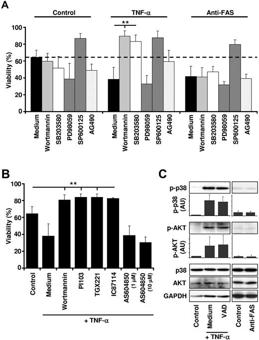 Figure 3. TNF-α–induced neutrophil apoptosis is dependent on MAPK p38 and class IA PI3K activity. (A) Inhibition of p38 and PI3K before TNF-α stimulation results in neutrophil survival. Before TNF-α (50 ng/mL) or anti-FAS antibody (1 μg/mL) stimulation, primary human neutrophils were incubated for 30-60 minutes with vehicle (Medium) or with small-molecule inhibitors against PI3K (100nM wortmannin), p38 (1μM SB203580), MEK (50μM PD98059), SAPK/JNK (10μM SP600125), or JAK/STAT (25μM AG490). Viability was assessed by ethidium bromide staining and flow cytometry after 24 hours (n ≥ 3). (B) Class IA PI3Ks are death molecules after TNF-α stimulation. Neutrophils were incubated with vehicle (Control, Medium) or different PI3K inhibitors before TNF-α (50 ng/mL) stimulation. Viability was assessed by ethidium bromide staining and flow cytometry after 24 hours. The following inhibitors were used: the broad-spectrum PI3K inhibitor wortmannin (100nM), the class IA PI3K-selective inhibitor PI103 (100nM), the p110β isoform-selective inhibitor TGX221 (100nM), the p110δ isoform-selective inhibitor IC87114 (1μM), and the p110γ isoform-selective inhibitor AS604850 (1 and 10μM) (n ≥ 4). (C) Activation of p38 and PI3Ks is independent of caspase activity. Neutrophils were pretreated with or without VAD for 60 minutes and subsequently stimulated for 15 minutes with 50 ng/mL of TNF-α or 1 μg/mL of anti-FAS antibody. Cell lysates were analyzed by immunoblotting for phosphorylated Ser473 AKT (an indirect readout for PI3K activity) or phosphorylated Thr180/Tyr182 p38. p38, AKT, and GAPDH protein levels were analyzed as loading controls. A representative immunoblot is shown, and protein expression levels were quantified relative to the control condition (n = 3).