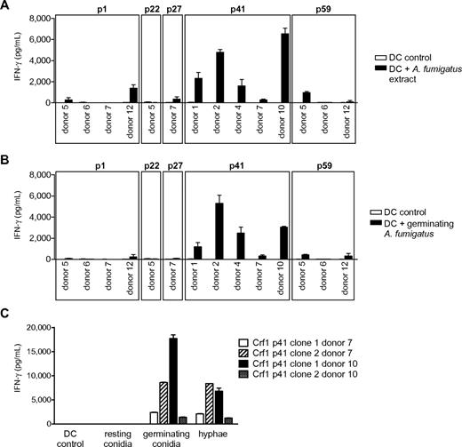 Figure 2. Response of Crf1 peptide-specific T-cell clones to stimulation with native A fumigatus antigen. (A) T-cell clones from different donors specific for p1, p22, p27, p41, and p59 that responded to stimulation with Crf1 mRNA-transfected DCs were stimulated with A fumigatus cell extract or (B) inactivated germinating A fumigatus conidia (n = 3). Shown is 1 clone per antigen and donor. (C) Crf1/p41-specific T-cell clones respond to stimulation with DCs incubated with germinating A fumigatus conidia (6 hours) or hyphae (12 hours) but not or only weakly to resting conidia (0 hours; n = 3).