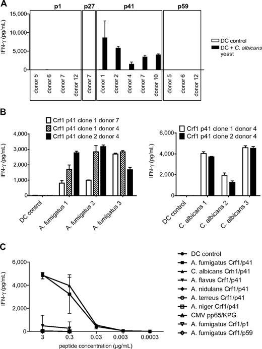 Figure 3. Aspergillus fumigatus Crf1/p41-specific T-cell clones show highly specific cross-reactivity to C albicans and can be activated by different clinical isolates of both fungi. (A) All A fumigatus Crf1/p41-specific T-cell clones from different donors respond to stimulation with inactivated C albicans yeast (n = 3). Shown is 1 clone per antigen and donor. (B) Aspergillus fumigatus Crf1/p41-specific T-cell clones respond to different inactivated clinical isolates of germinating A fumigatus conidia and C albicans yeast (n = 3). (C) Aspergillus fumigatus Crf1/p41-specific T-cell clones from donors with different MHC class II restriction were stimulated with A fumigatus Crf1/p41 peptide, the homologous peptides of C albicans, A flavus, A nidulans, A terreus, and A niger (supplemental Figure 4B) or the unrelated peptides CMV pp65 KPG (KPGKISHIMLDVAFT) and A fumigatus Crf1/p1 and p59 (supplemental Table 1; representative experiments).