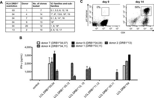 Figure 4. Cross-reactive Crf1/p41-specific T cells show a diverse TCR Vβ repertoire, multiple MHC class II restriction, and high proliferative capacity. (A) The TCR Vβ repertoire of p41-specific CD4+T-cell clones is diverse in different donors. TCR Vβ chains were determined by flow cytometry, PCR, nucleotide sequence analysis, or a combination of these techniques. *TCRs differ on the level of nucleotide sequence. Nomenclature is according to Wei et al.50 (B) The Crf1/p41 epitope can be presented by HLA-DRB1*03, 04, and 13 and allows cross-recognition between HLA-DRB1*03 and 13. The HLA restriction of Crf1/p41-specific T-cell clones from 5 different donors was determined by stimulation with peptide-pulsed unmatched or partially matched LCLs (n = 2; for LCL DRB1*04, n = 1). (C) Crf1/p41-specific T cells are not terminally differentiated and can be rapidly expanded in vitro. 107 PBMCs could be expanded to a median of 3.5 × 107 cells (range, 3-4.9 × 107 cells) within 14 days, and the frequency of antigen-specific cells as determined by an HLA-DRB1*04 restricted tetramer reached levels of 42% to 63% (median, 50.6%). T cells were restimulated with autologous peptide-pulsed monocytes on day 7, and culture medium was supplemented with IL-2, IL-7, and IL-15 (representative experiment, n = 8).